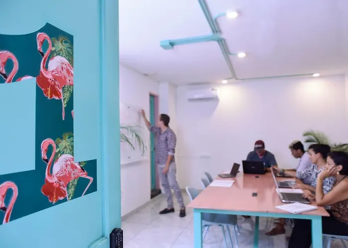 Flamingo Hostel & Coworking