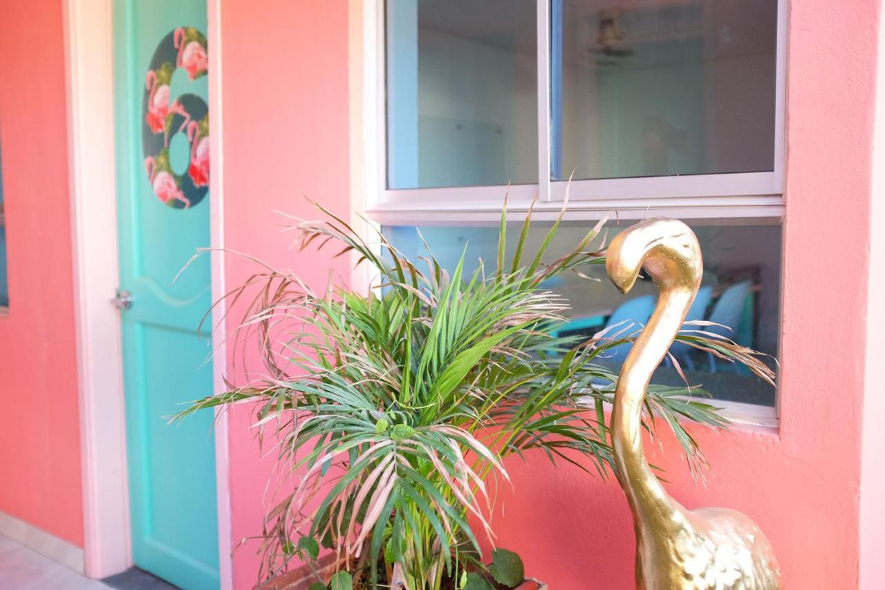 Hostal Flamingo & Coworking *