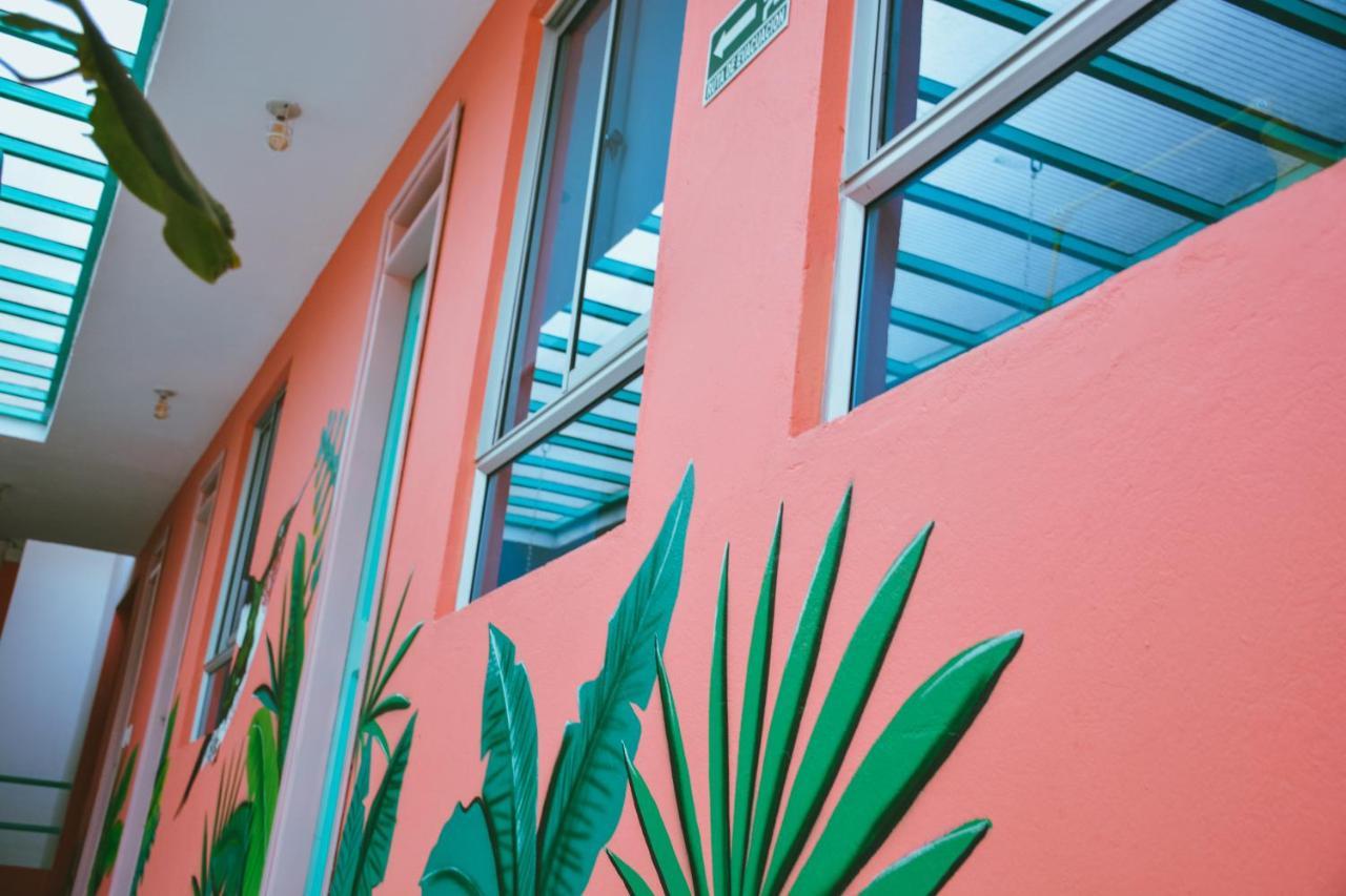 Hostal Flamingo & Coworking Santa Marta (Magdalena)