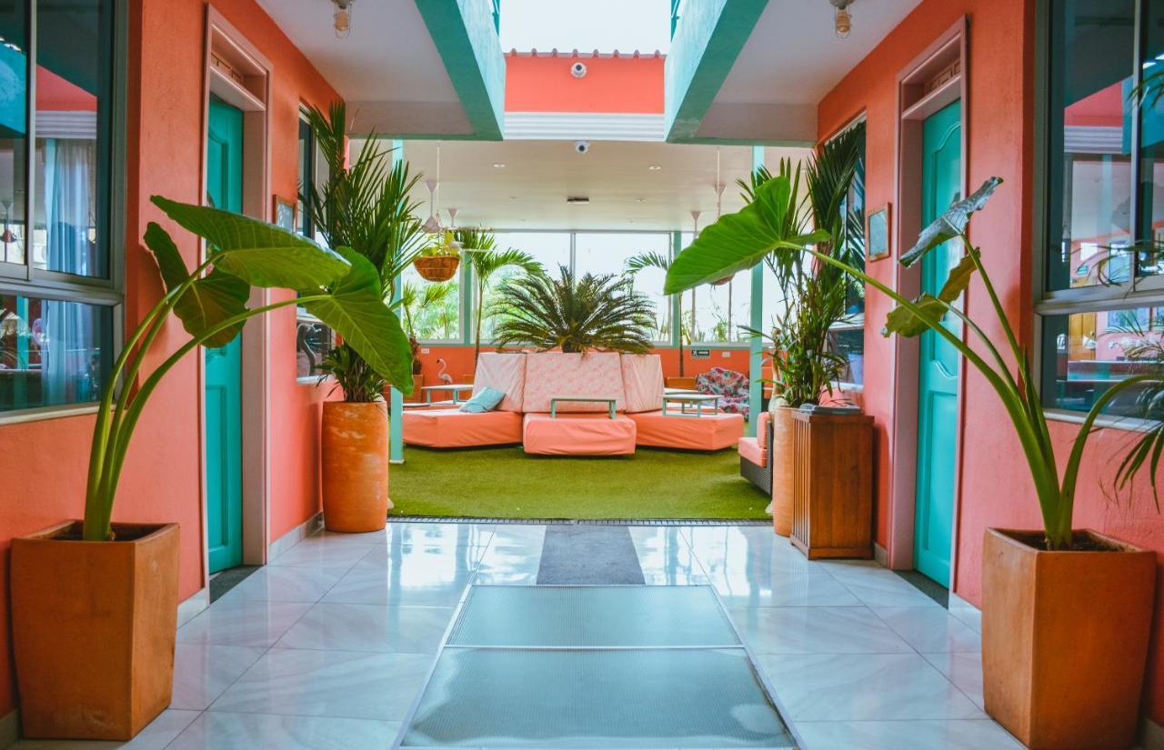Flamingo & Coworking Hostal