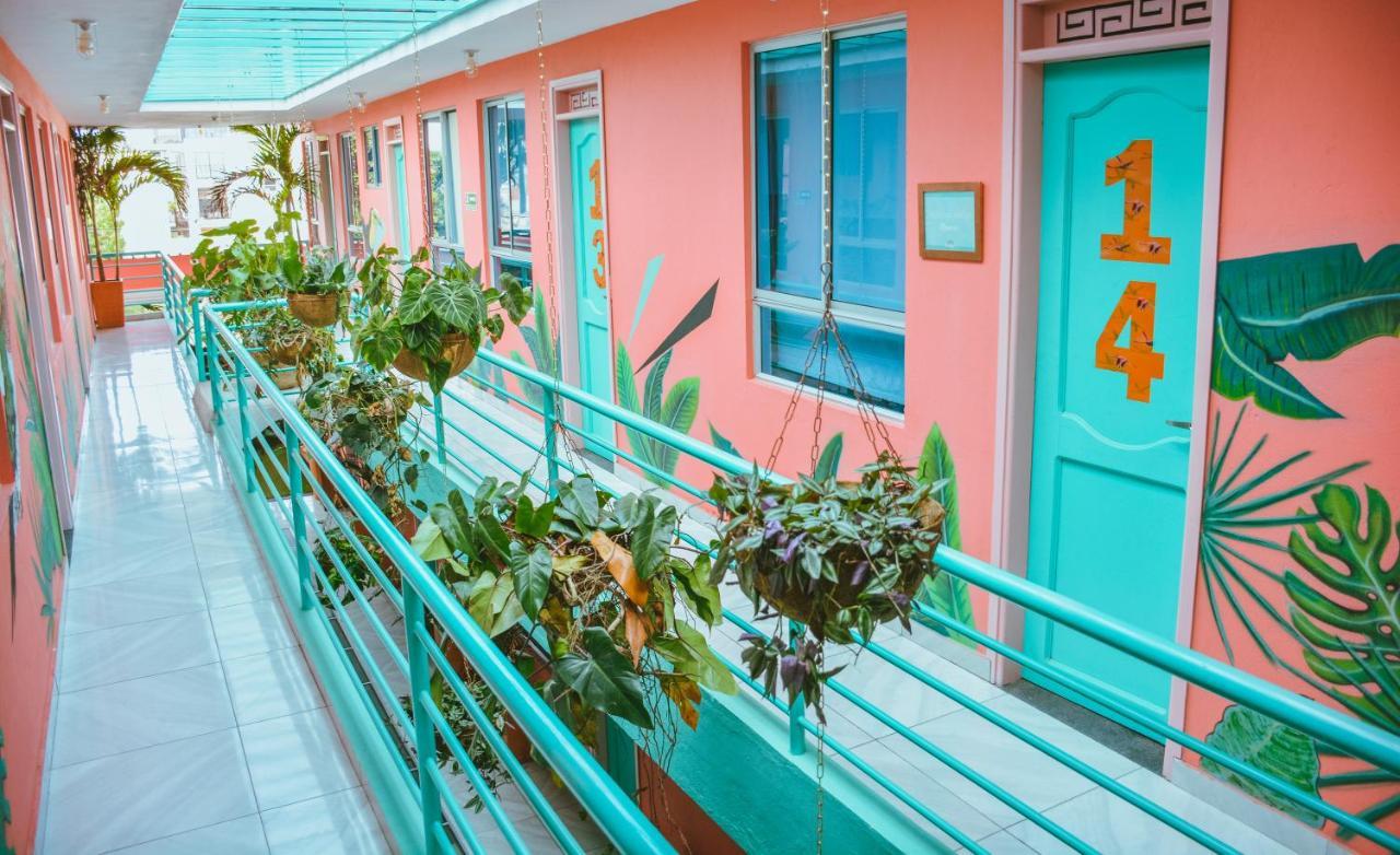 Flamingo & Coworking Hostal Santa Marta (Magdalena)