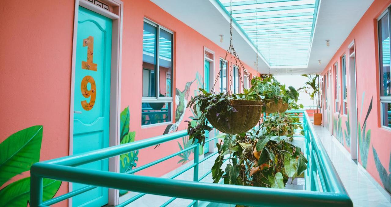 Hostal Flamingo & Coworking Santa Marta (Magdalena)