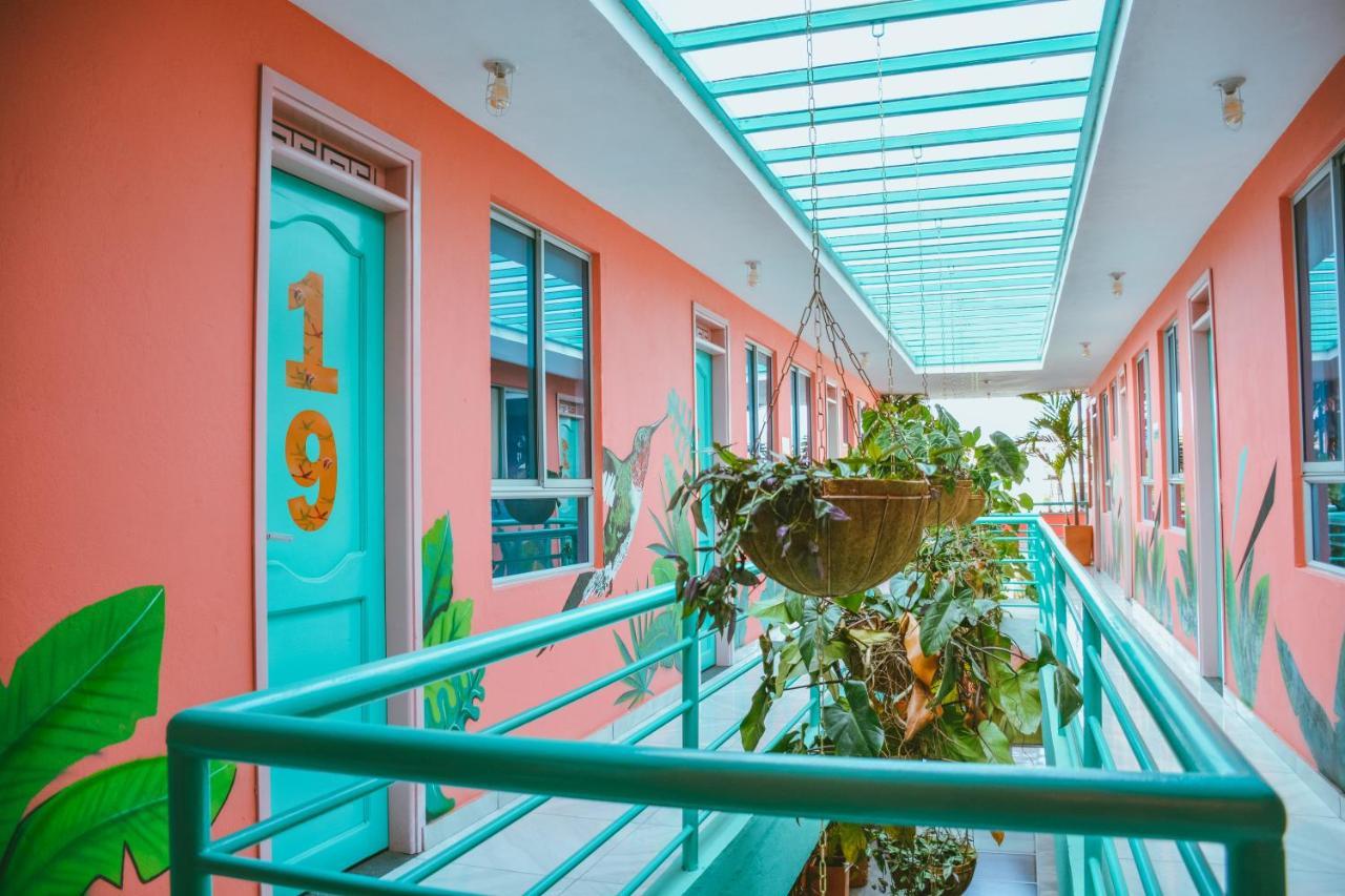 Flamingo & Coworking Hostal *