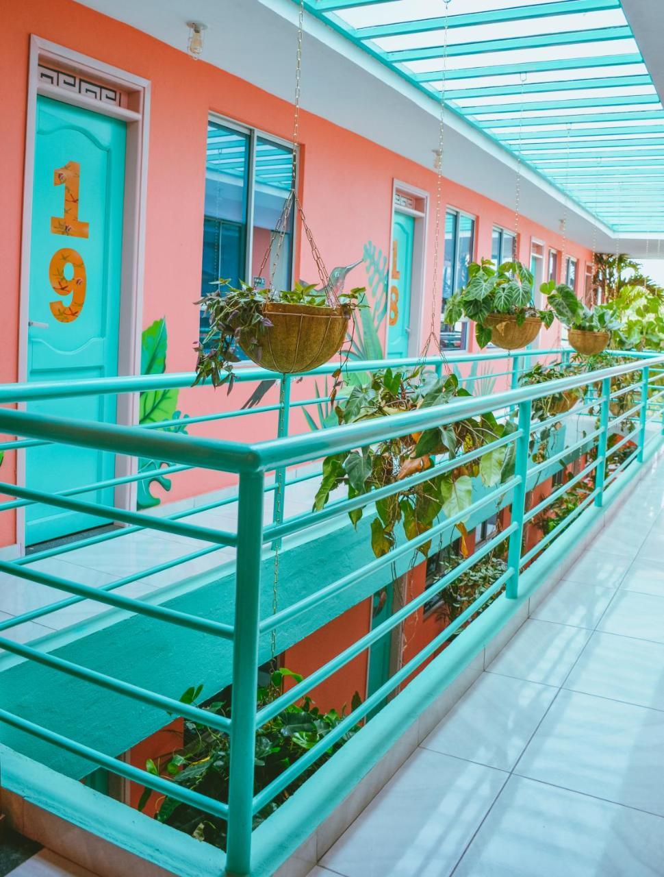 Hostal Flamingo & Coworking *