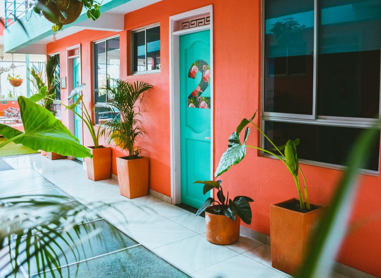 Hostal Flamingo & Coworking