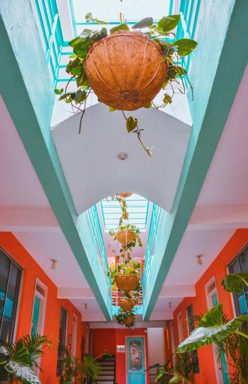 Flamingo & Coworking Hostal Santa Marta (Magdalena)