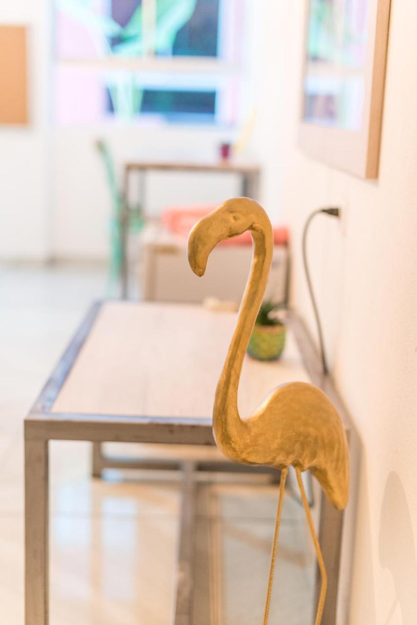 Flamingo & Coworking *