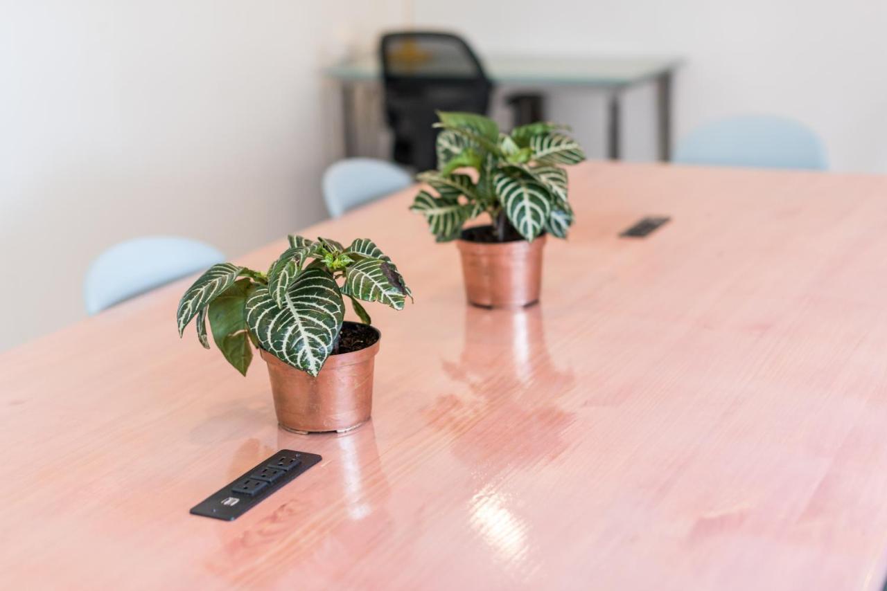 Flamingo & Coworking Hostal Santa Marta (Magdalena)