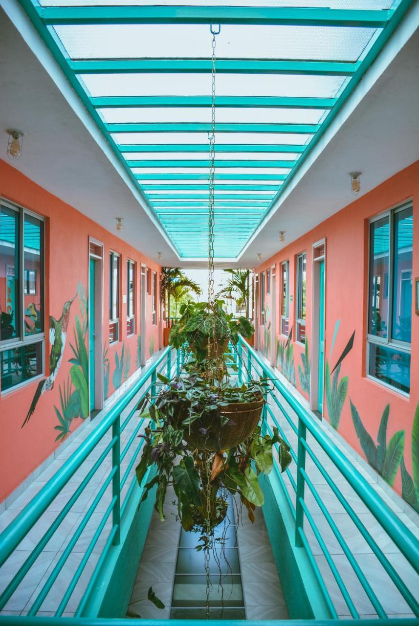Flamingo & Coworking *
