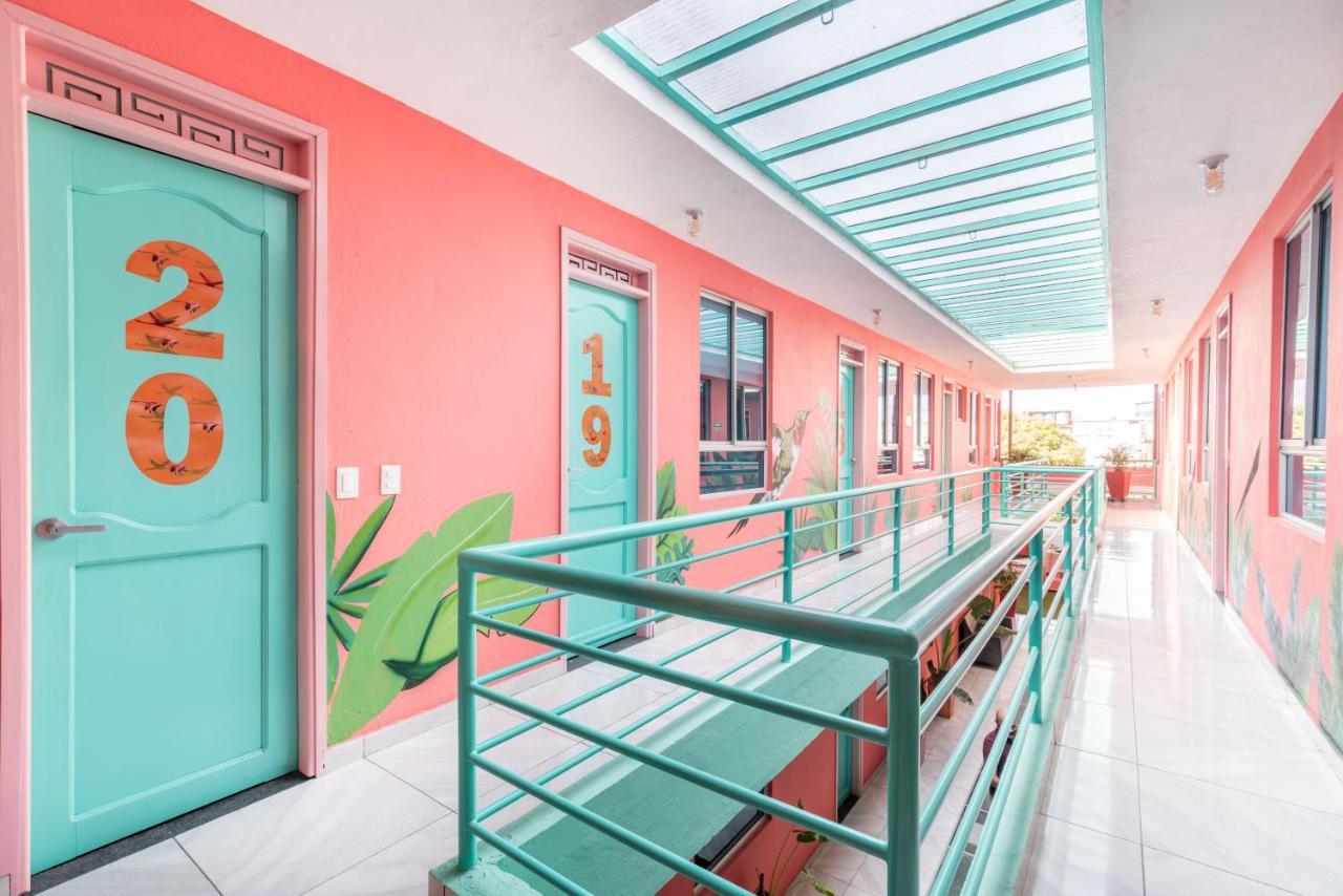 Hostal Flamingo & Coworking *