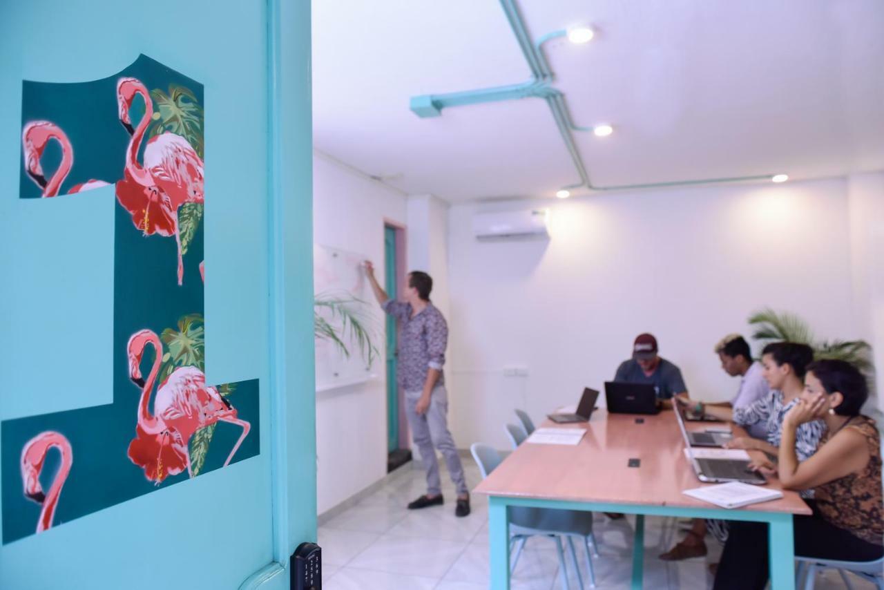 Flamingo & Coworking Hostal Santa Marta (Magdalena)