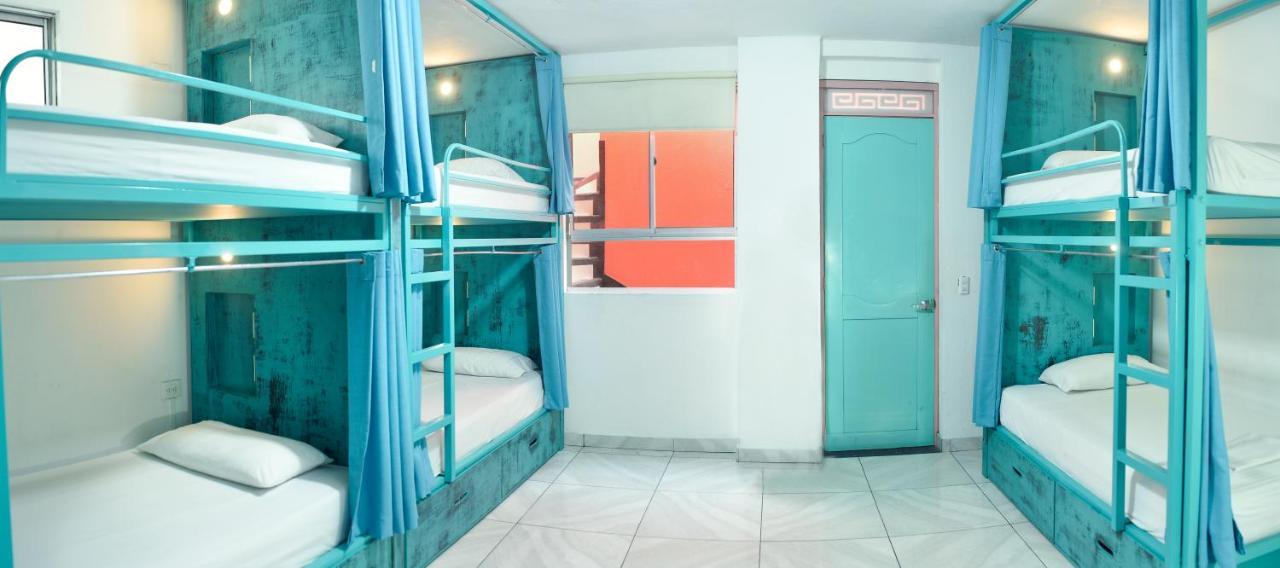 Flamingo & Coworking Hostal *