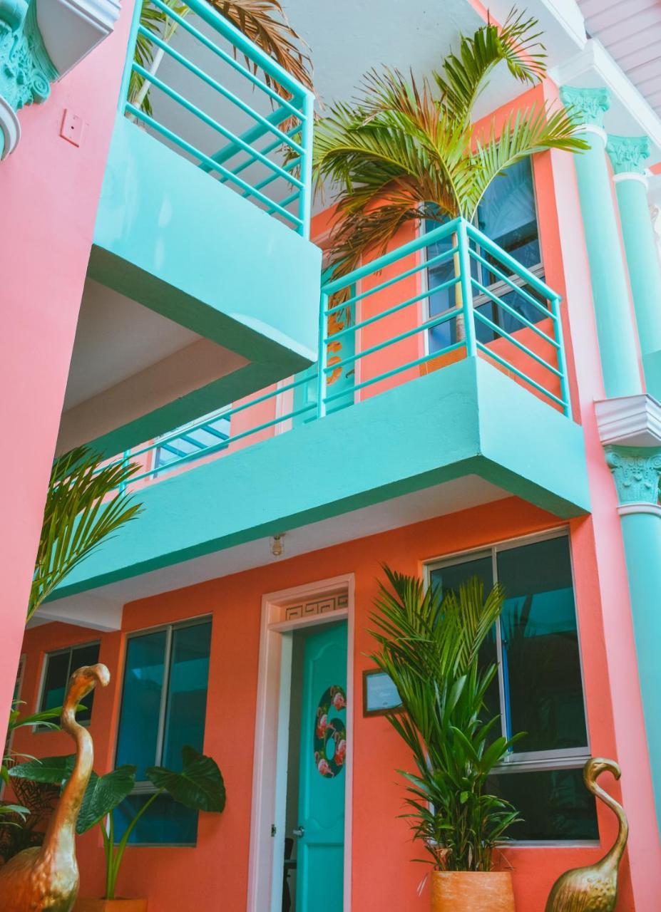 Flamingo & Coworking Hostel